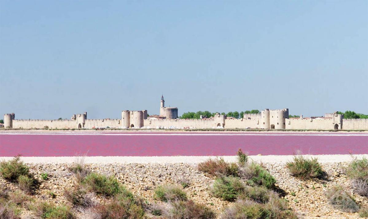 Marina Aigues-Mortes **** Exteriör bild